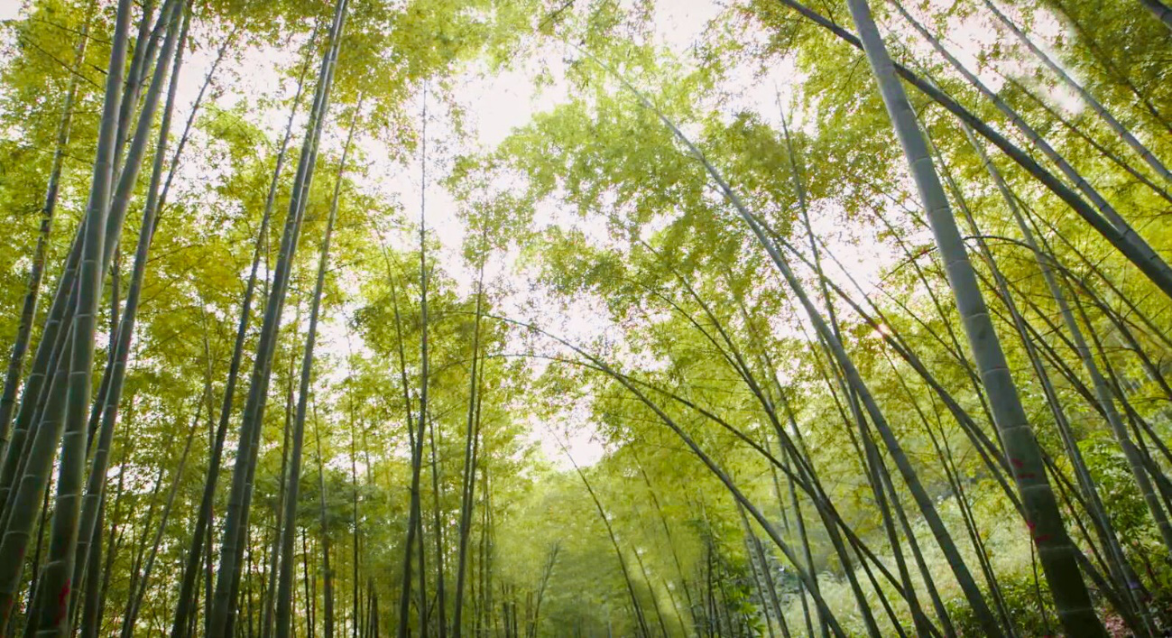 008PG国际(中国区)-官方网站