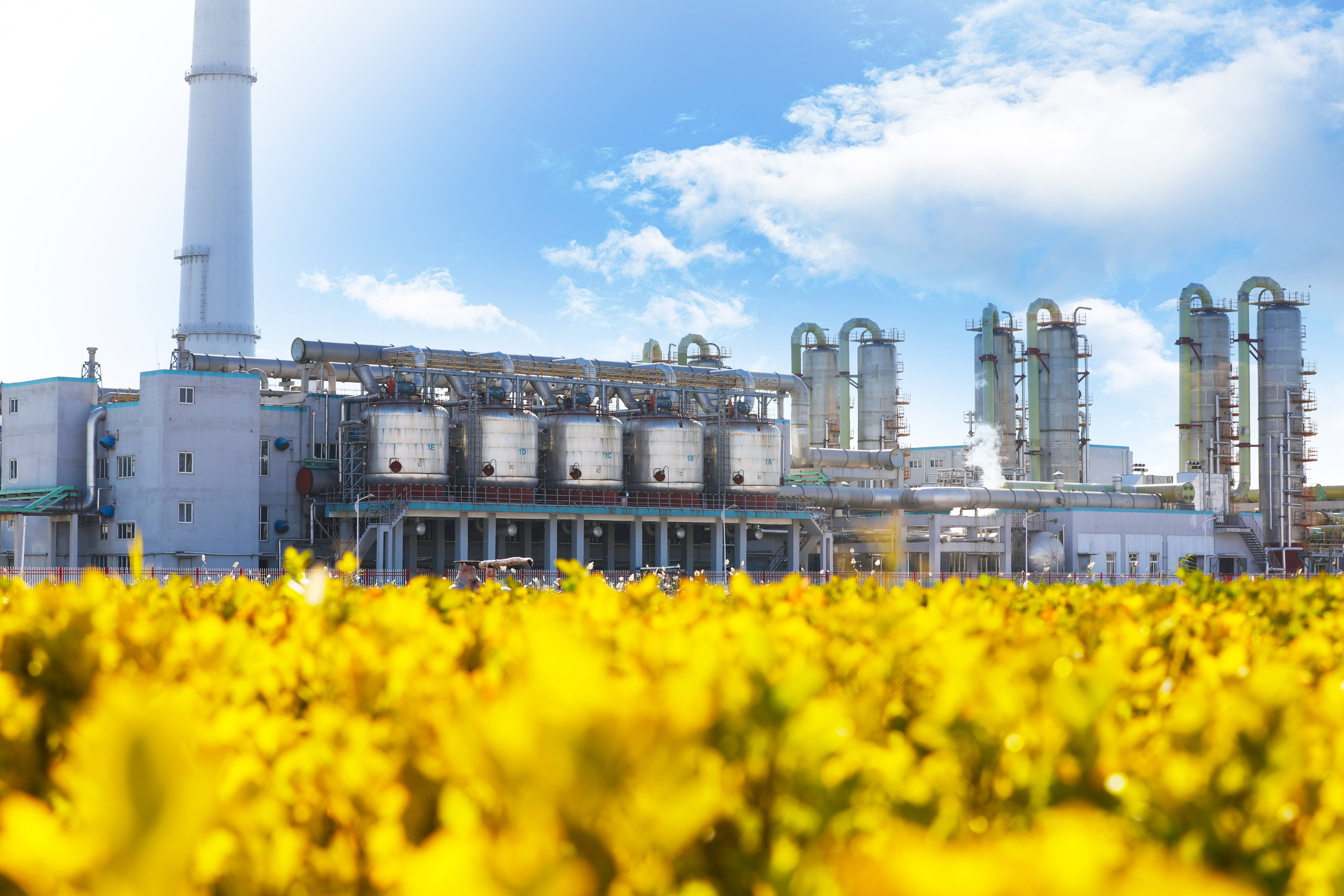 008PG国际(中国区)-官方网站